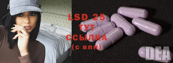 стаф Бородино