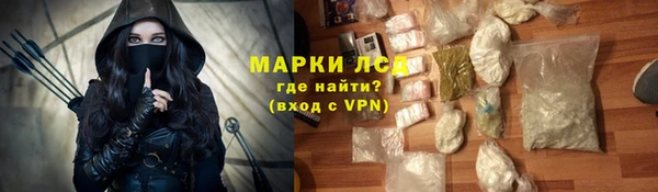 стаф Бородино