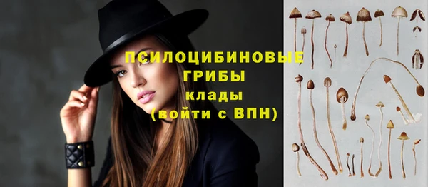 стаф Бородино