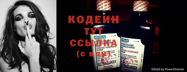 стаф Бородино