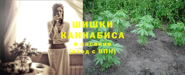 стаф Бородино